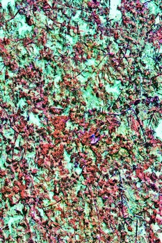 A 160A